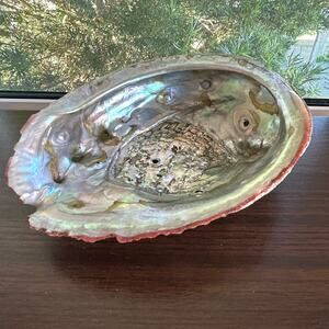 Vintage Abalone Shell – 7” Iridescent Mother of Pearl Display or Smudge Bowl
